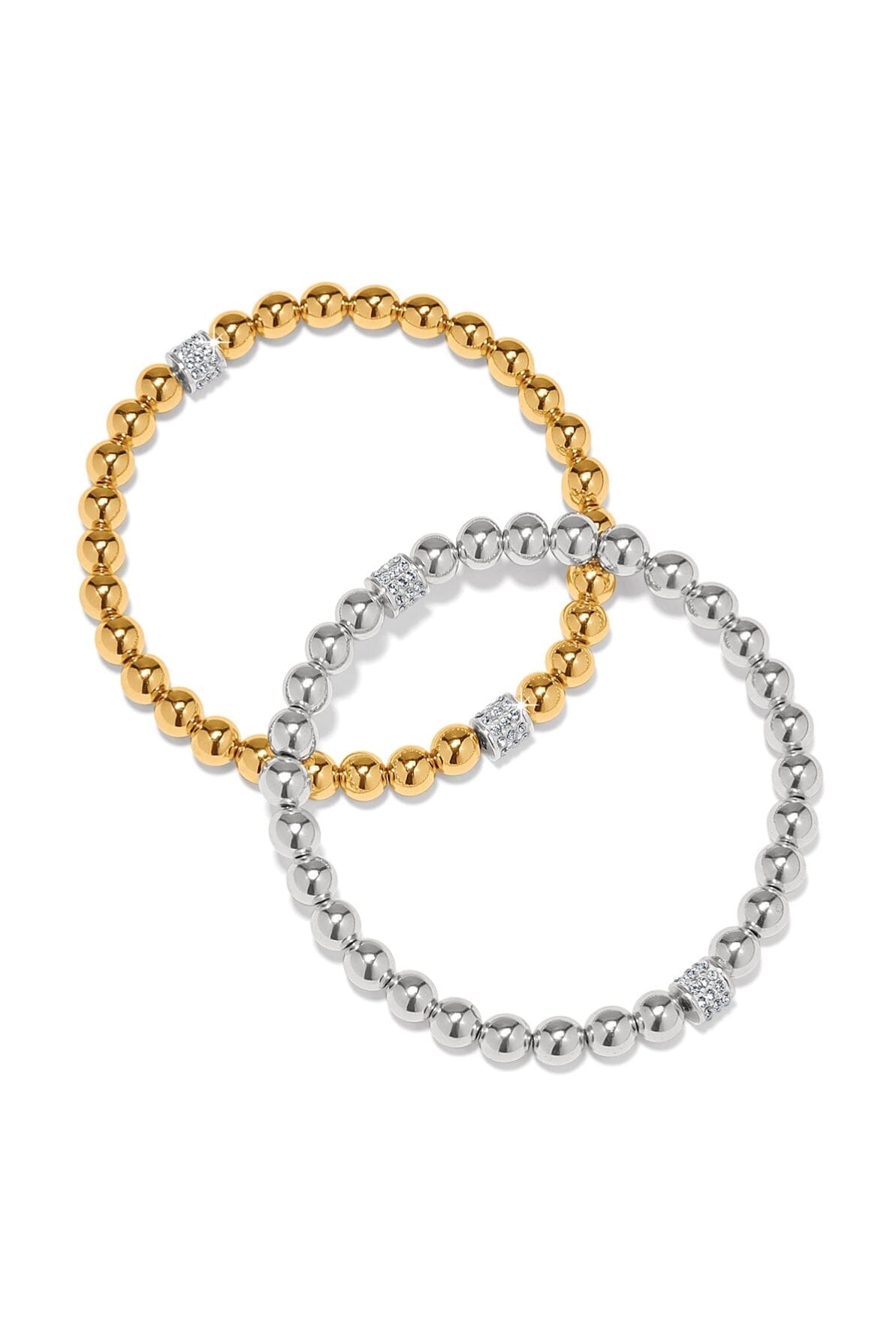 Meridian Pet Bracelet BJEWELRY Brighton Collectables
