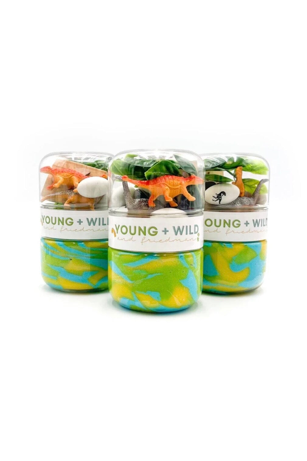 Grab & Go Dough Jar GIFT/OTHER YOUNG + WILD & FRIEDMAN DINOSAUR