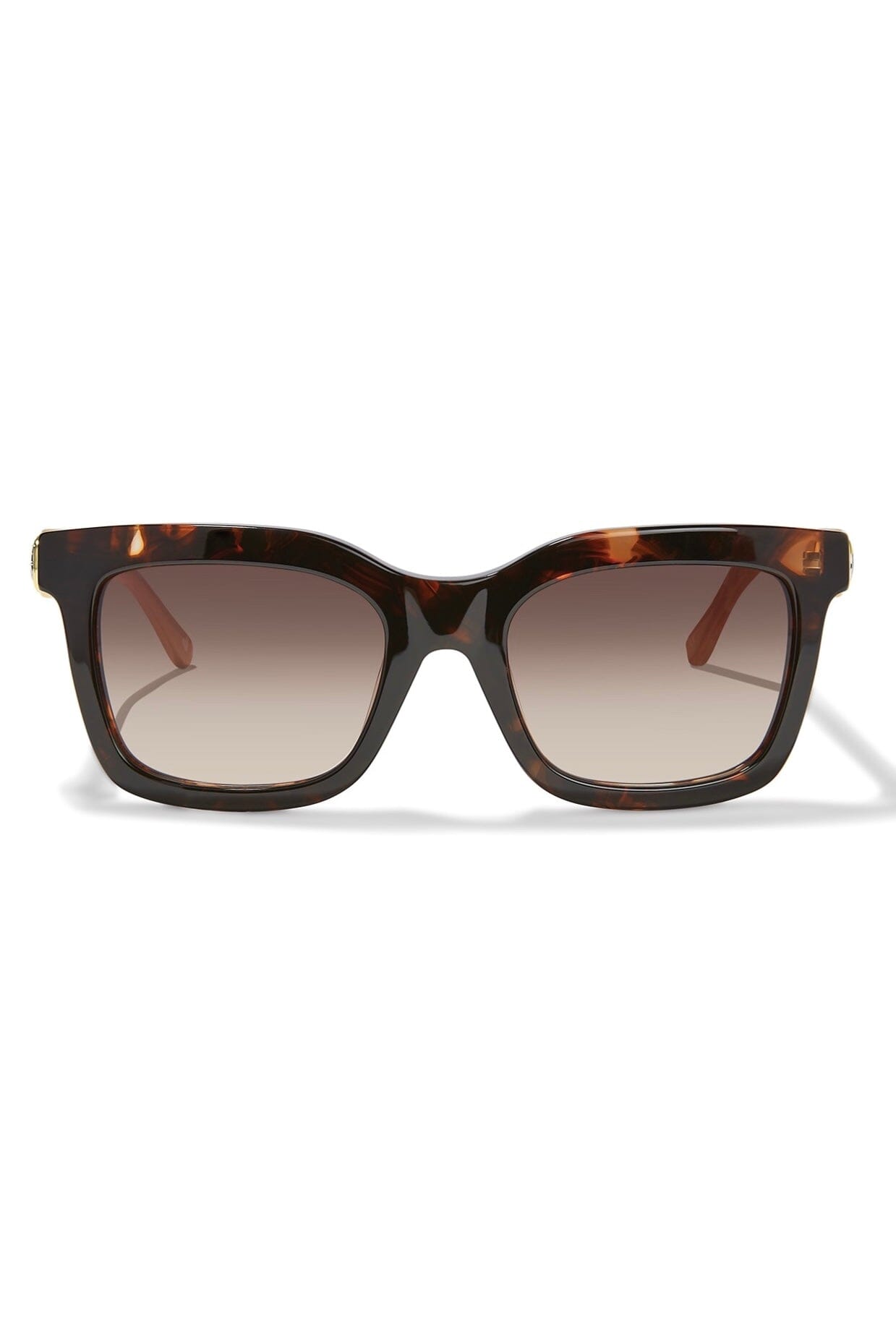 Ferrara Two Tone Tort Glasses BSUNGLASSES Brighton Collectables