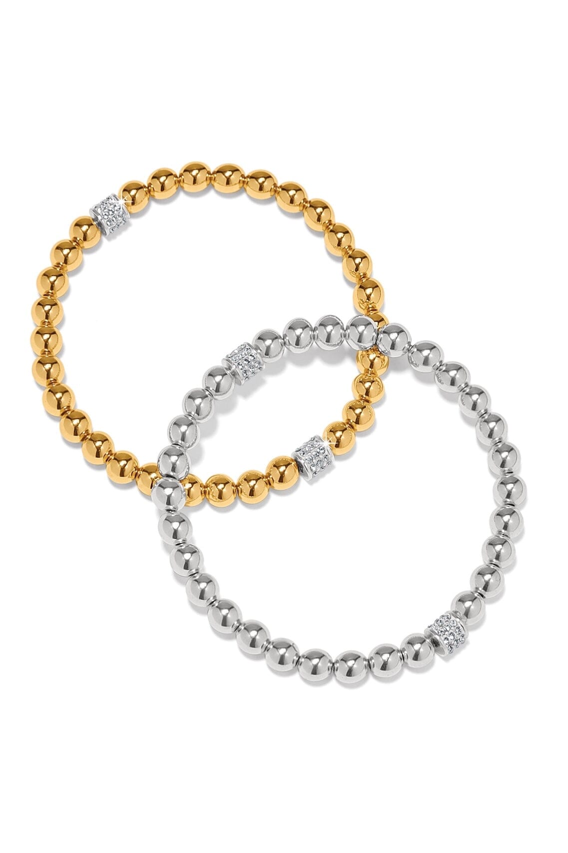 Meridian Pet Bracelet BJEWELRY Brighton Collectables