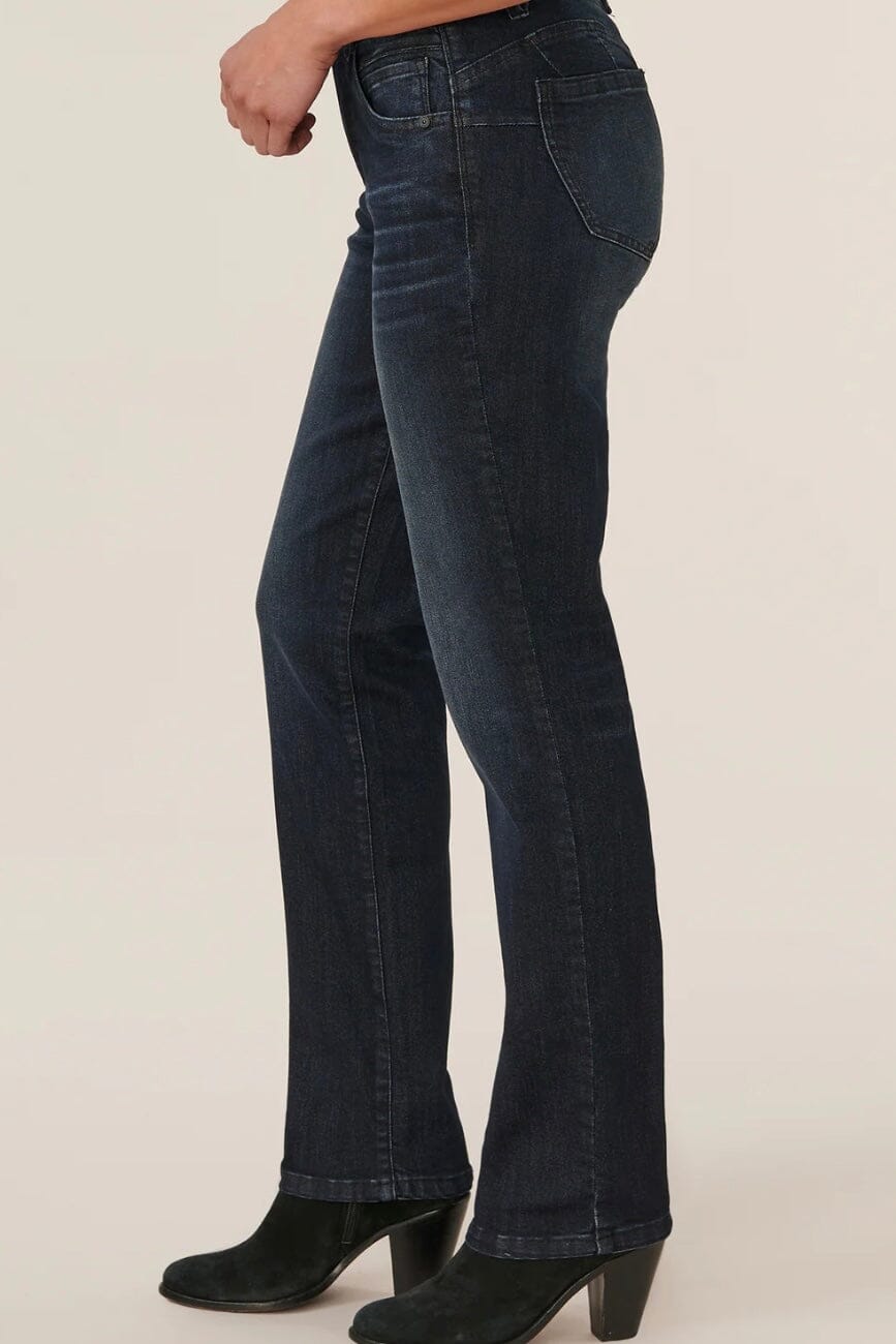 Ab Solution Straight Leg JEANS Democracy