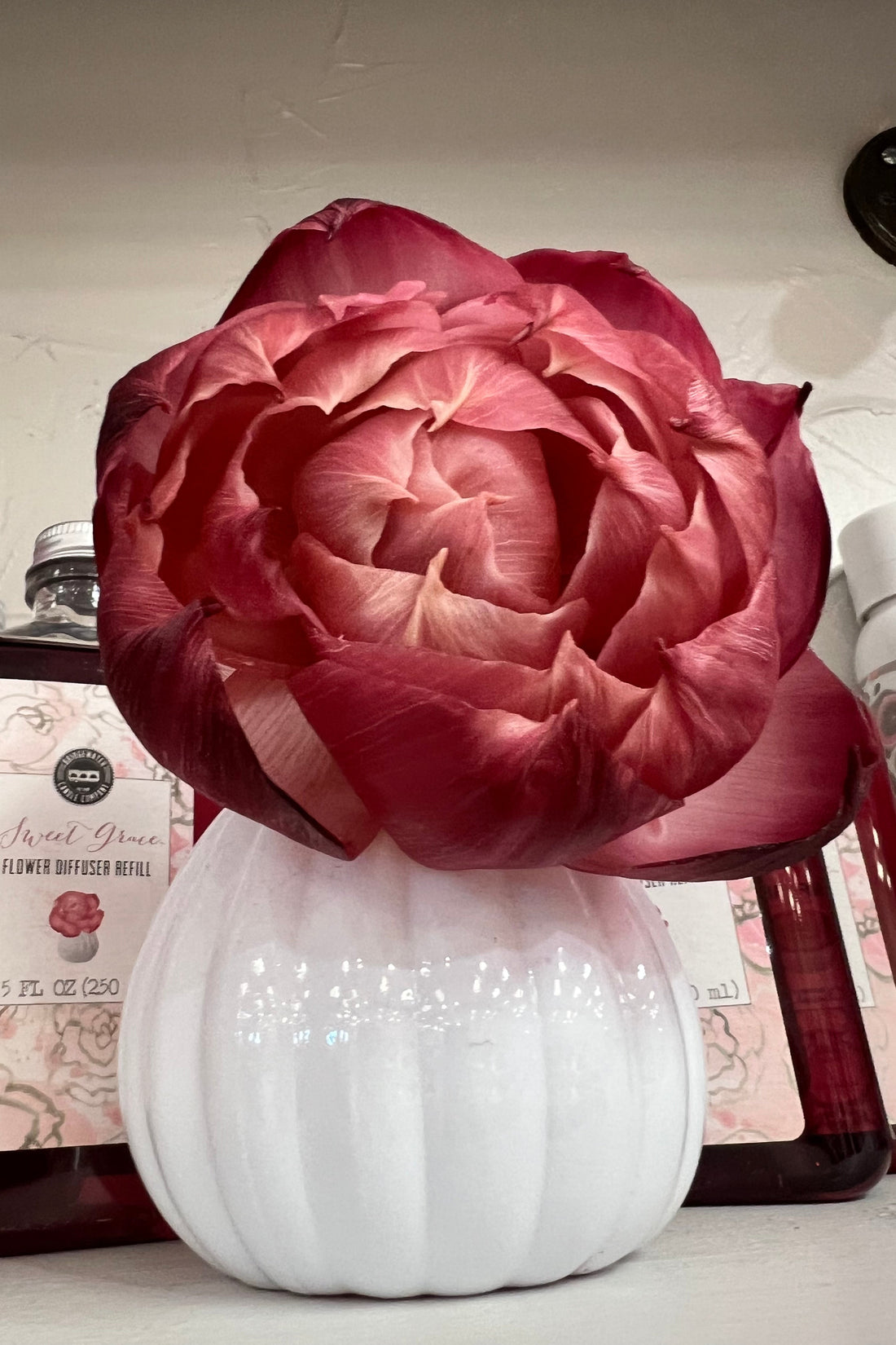 Sweet Grace Flower Diffuser GIFT/OTHER BRIDGEWATER