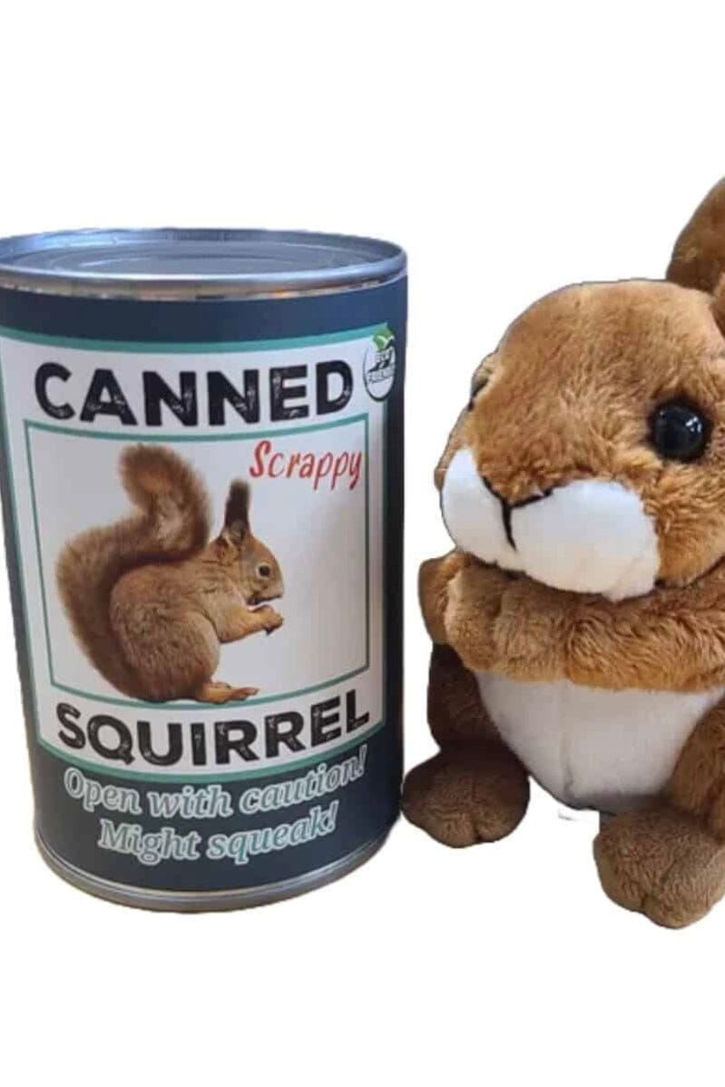 Pop Top Canned Animals GIFT/OTHER CANNED ANIMALS SQUIRREL