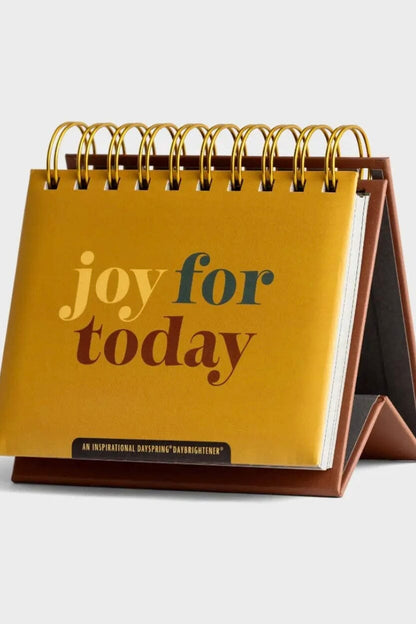 Joy for Today Daybrightener GIFT/OTHER DAYSPRING 