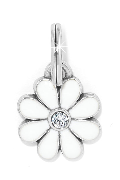 Daisy White Charm BRING LEEGIN-BRIGHTON 