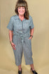 Short Sleeve Striped Collared Button Down MISSY TOP SPECIAL SOUTHERN LADY 