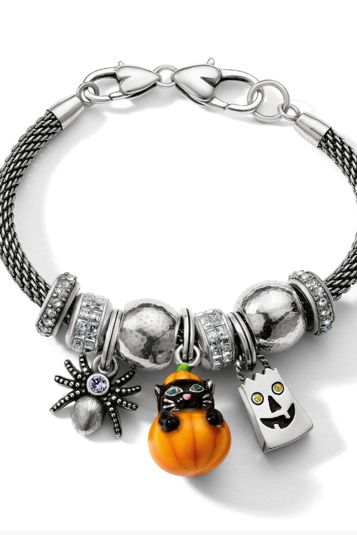 Purrfect Pumpkin Charm BCHARM:~~Unassigned~~ Brighton Collectables 