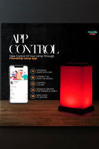 Modern Friendship Lamp GIFT/OTHER:~~Unassigned~~ FRIENDSHIPLAMPS 
