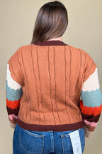 Brown Stripe Sleeve Sweater SWEATER:~~Unassigned~~ DAVI&DANI 
