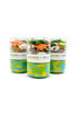 Grab & Go Dough Jar GIFT/OTHER YOUNG + WILD & FRIEDMAN DINOSAUR 