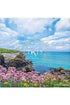 Seascapes Scented Sachet GIFT/OTHER INIS CORNWALL 