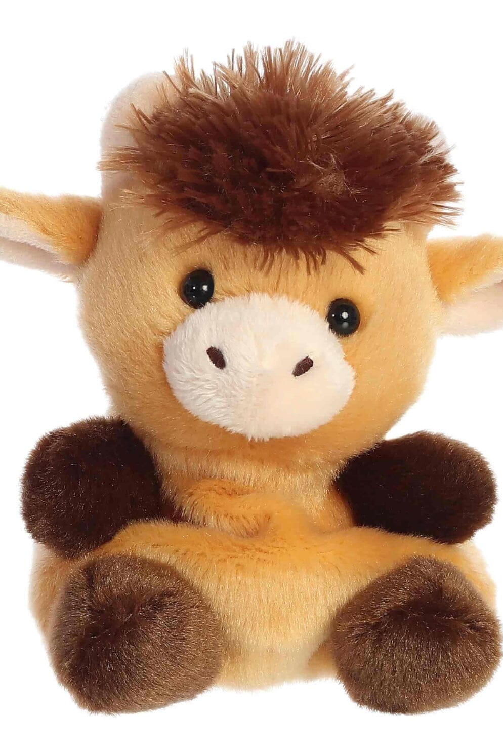 Palm Pals - Hubert Highland Cow GIFT/OTHER:~~Unassigned~~ AURORA WORLD 