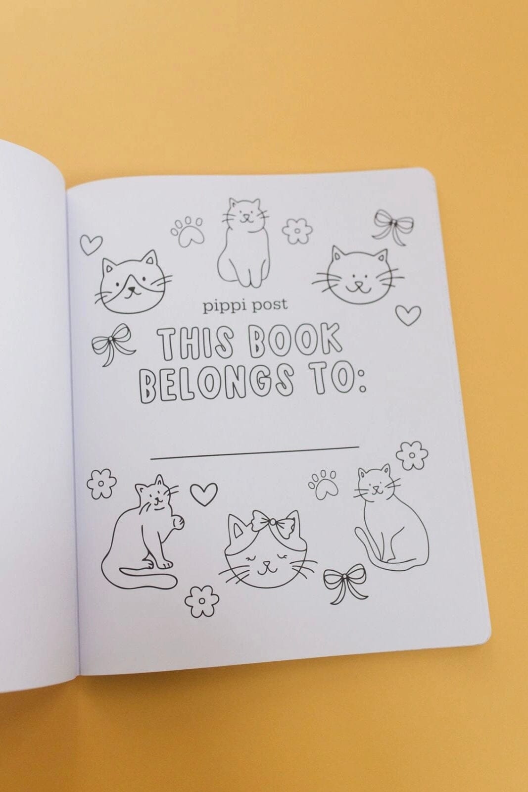 Cat Lover Coloring Book