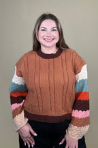 Brown Stripe Sleeve Sweater SWEATER:~~Unassigned~~ DAVI&DANI 