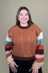 Brown Stripe Sleeve Sweater SWEATER:~~Unassigned~~ DAVI&DANI 