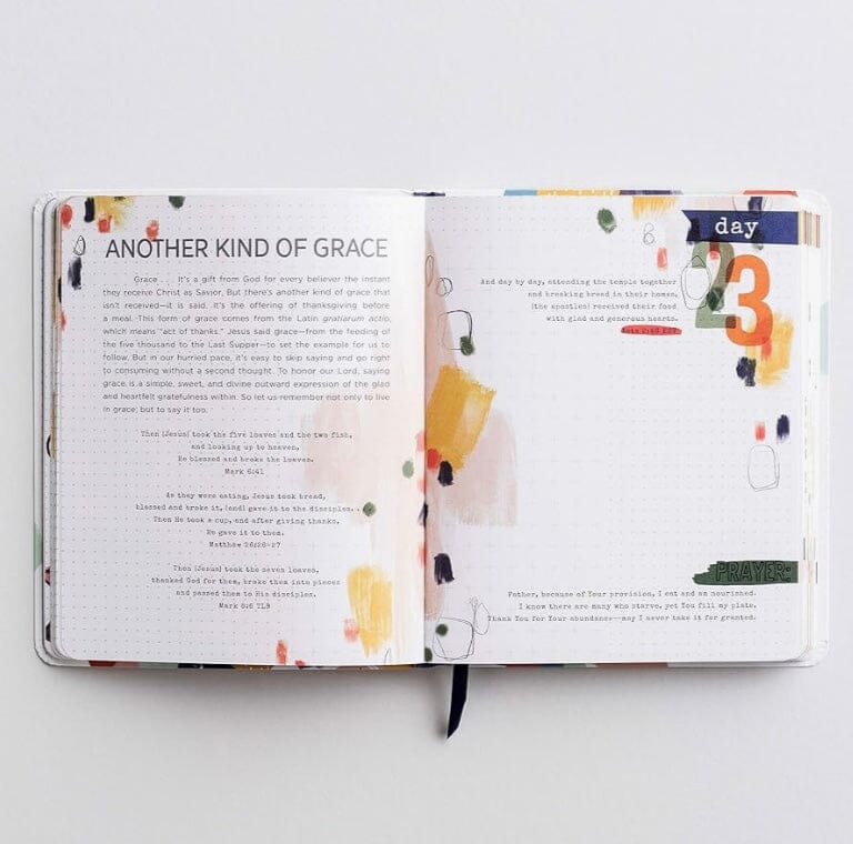 100 Days of Grace &amp; Gratitude Journal GIFT/OTHER DAYSPRING 