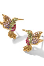 Enchanting Gem Hummingbird Earrings BJEWELRY Brighton Collectables 