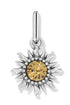Sun Charm BCHARM Brighton Collectables 