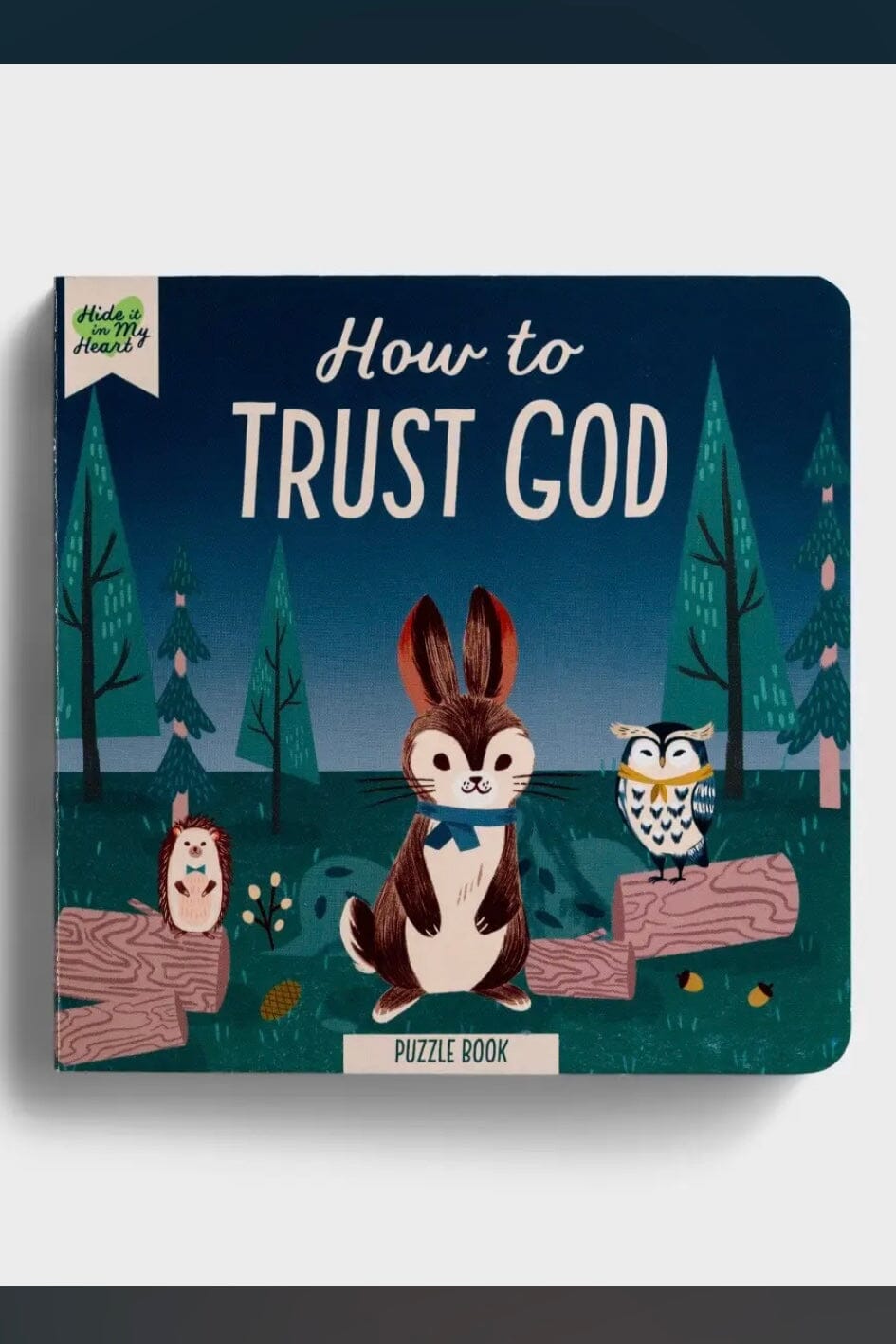 How To Trust God Puzzle Book GIFT/OTHER DAYSPRING 