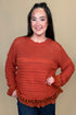 Lace Detail Sweater JRTOP CASUAL TOP:~~Unassigned~~ EASEL 