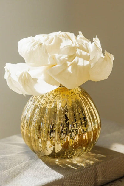 Sweet Grace No Dye Diffuser Refill GIFT/OTHER BRIDGEWATER 