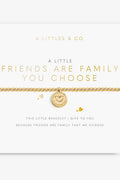 Friends Are Family You Choose Bracelet JEWELRY A LITTLES & CO 