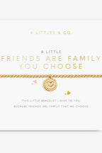 Friends Are Family You Choose Bracelet JEWELRY A LITTLES & CO 