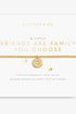 Friends Are Family You Choose Bracelet JEWELRY A LITTLES & CO 