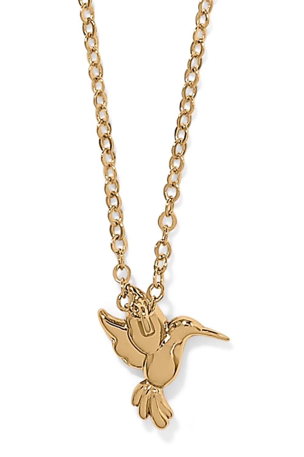 Enchanting Gem Hummingbird Necklace BJEWELRY Brighton Collectables 