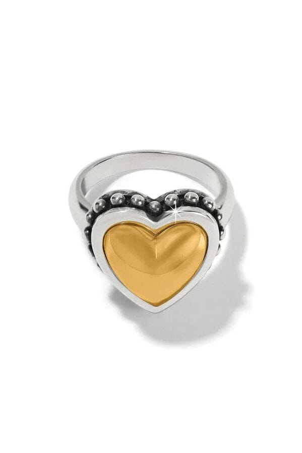 Pretty Tough Two -Tone BRING Brighton Collectables