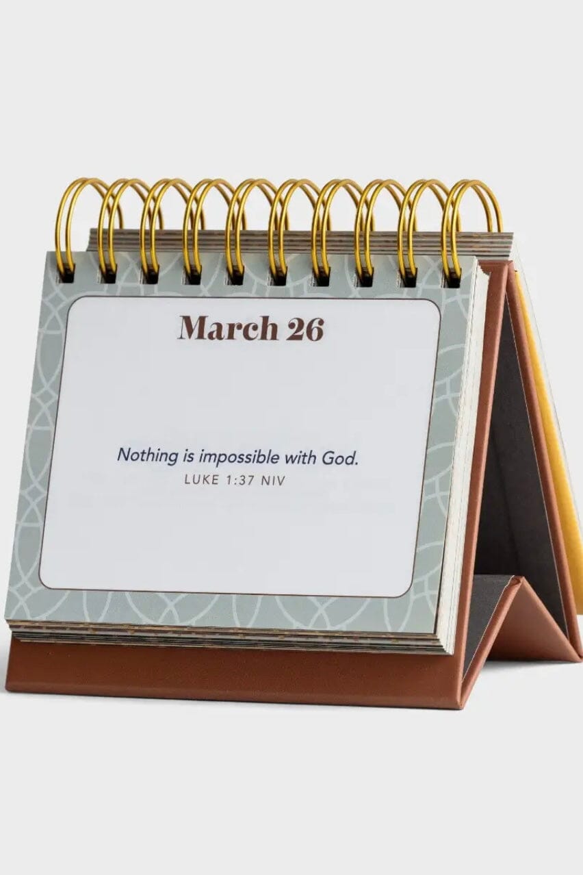 Joy for Today Daybrightener GIFT/OTHER DAYSPRING 