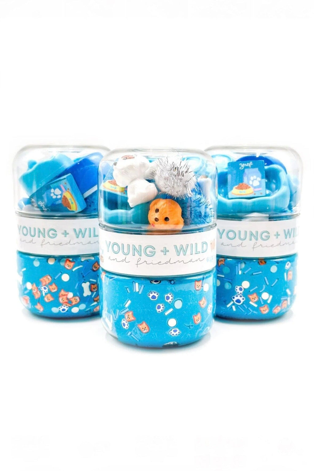 Blue Pet Shop Grab & Go Dough Jar GIFT/OTHER YOUNG + WILD & FRIEDMAN 