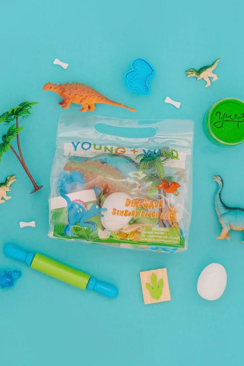 Sensory Dough Kit GIFT/OTHER YOUNG + WILD &amp; FRIEDMAN DINOSAUR 
