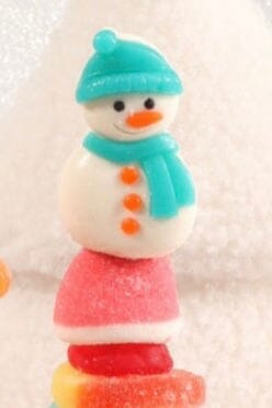 Christmas Gummy Kabobs GIFT/OTHER COBLENTZ FAMILY BRANDS SNOWMAN . 