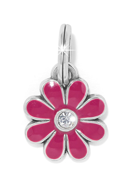 Daisy Magenta Charm BCHARM LEEGIN-BRIGHTON 