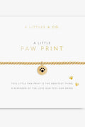 Paw Print Bracelet JEWELRY A LITTLES & CO 