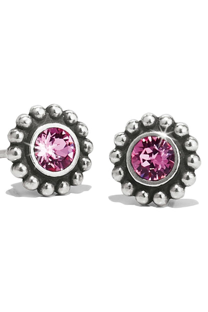 Twinkle Mini Post Earrings BJEWELRY Brighton Collectables 