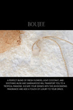Car Diffuser Boujee GIFT/OTHER HOLLOWOOD CANDLES 