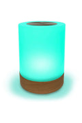 Lumi Friendship Lamp GIFT/OTHER:~~Unassigned~~ FRIENDSHIPLAMPS 