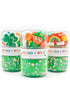Leprechaun Grab & Go Dough Jar GIFT/OTHER YOUNG + WILD & FRIEDMAN 